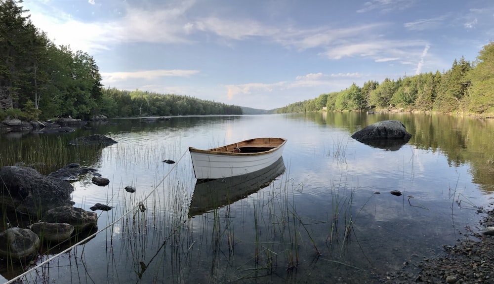 a small boat floating on top of a lake next to a forest