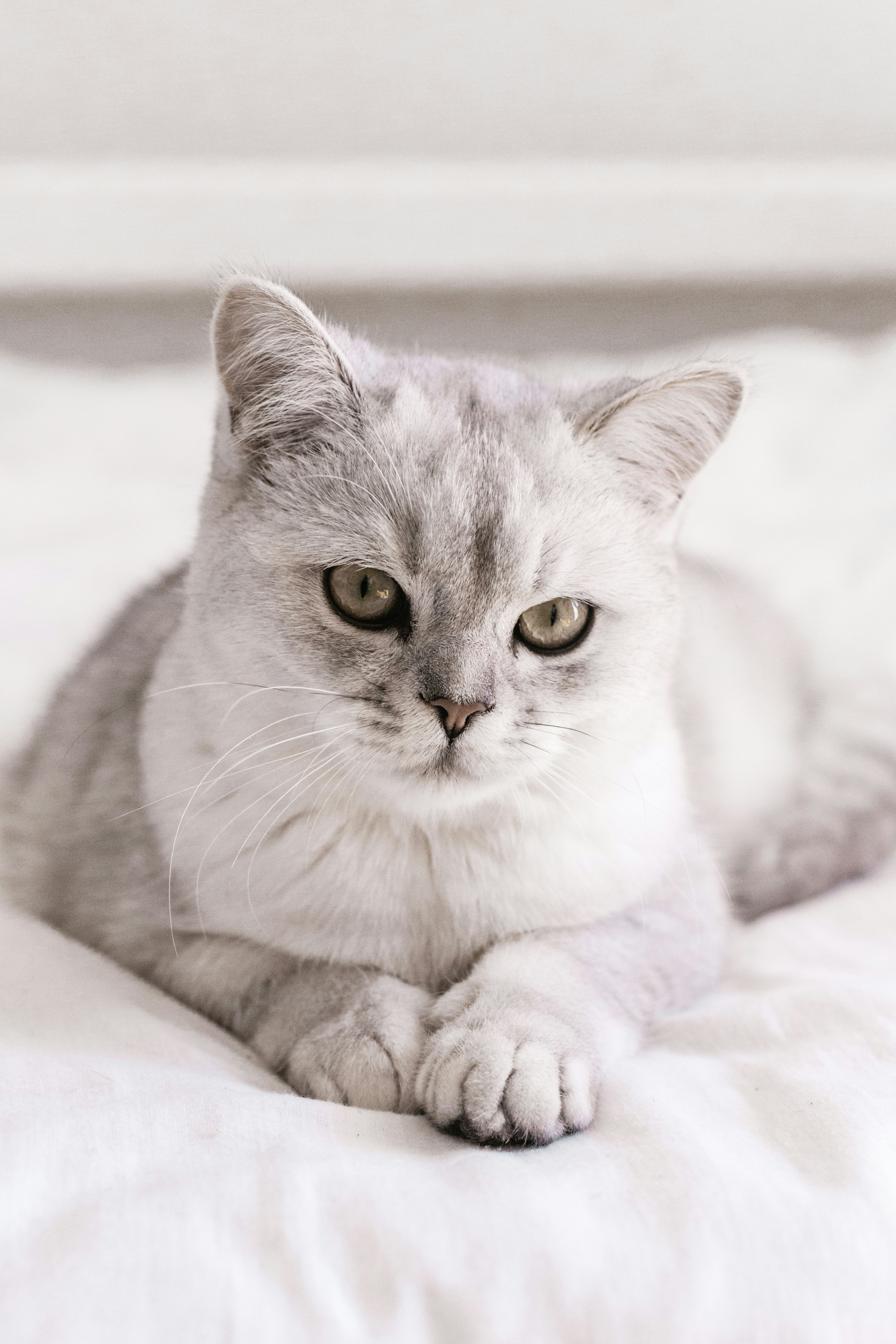 Photo by sincerelymedia