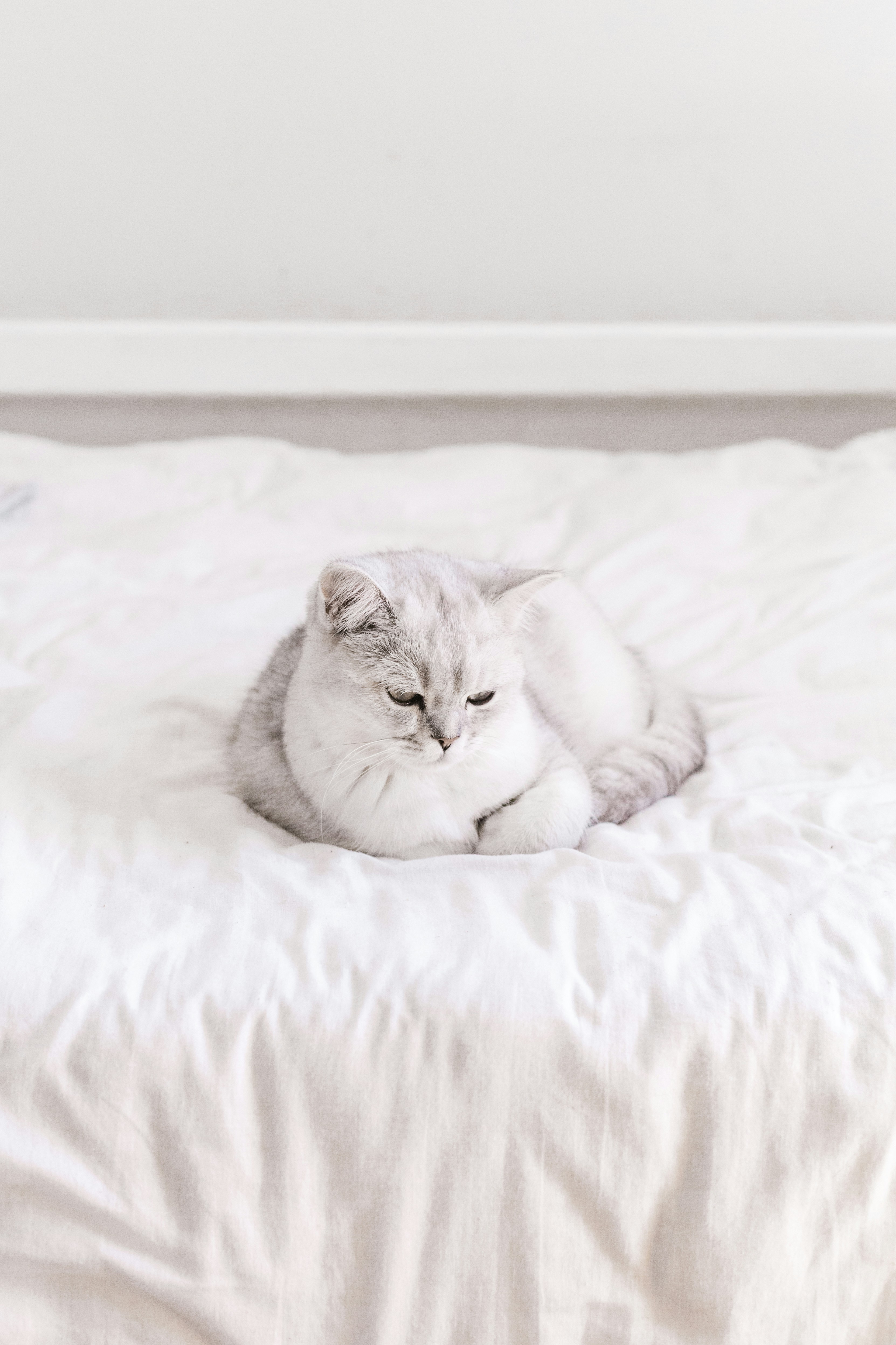 Photo by sincerelymedia