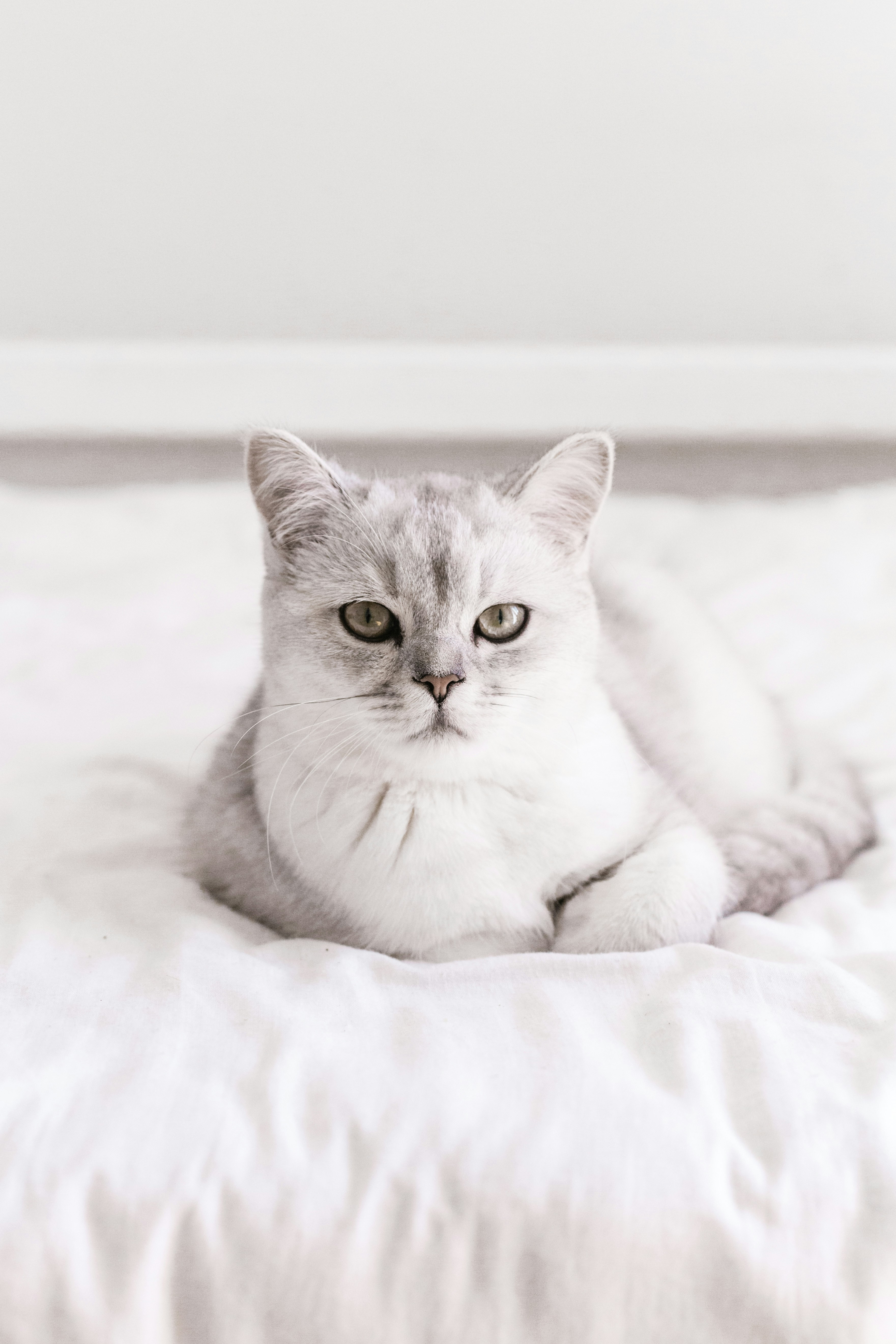 Photo by sincerelymedia