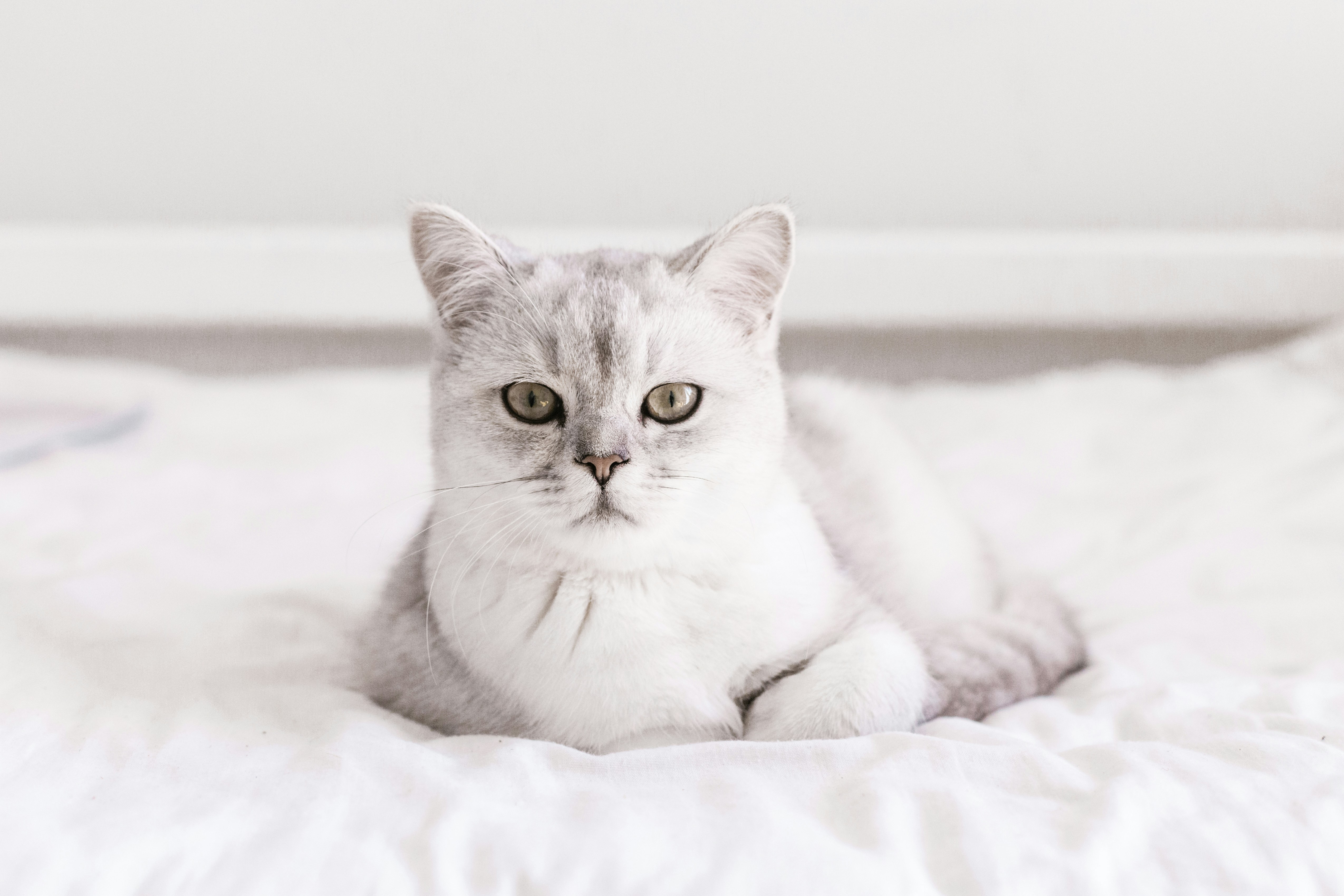 Photo by sincerelymedia