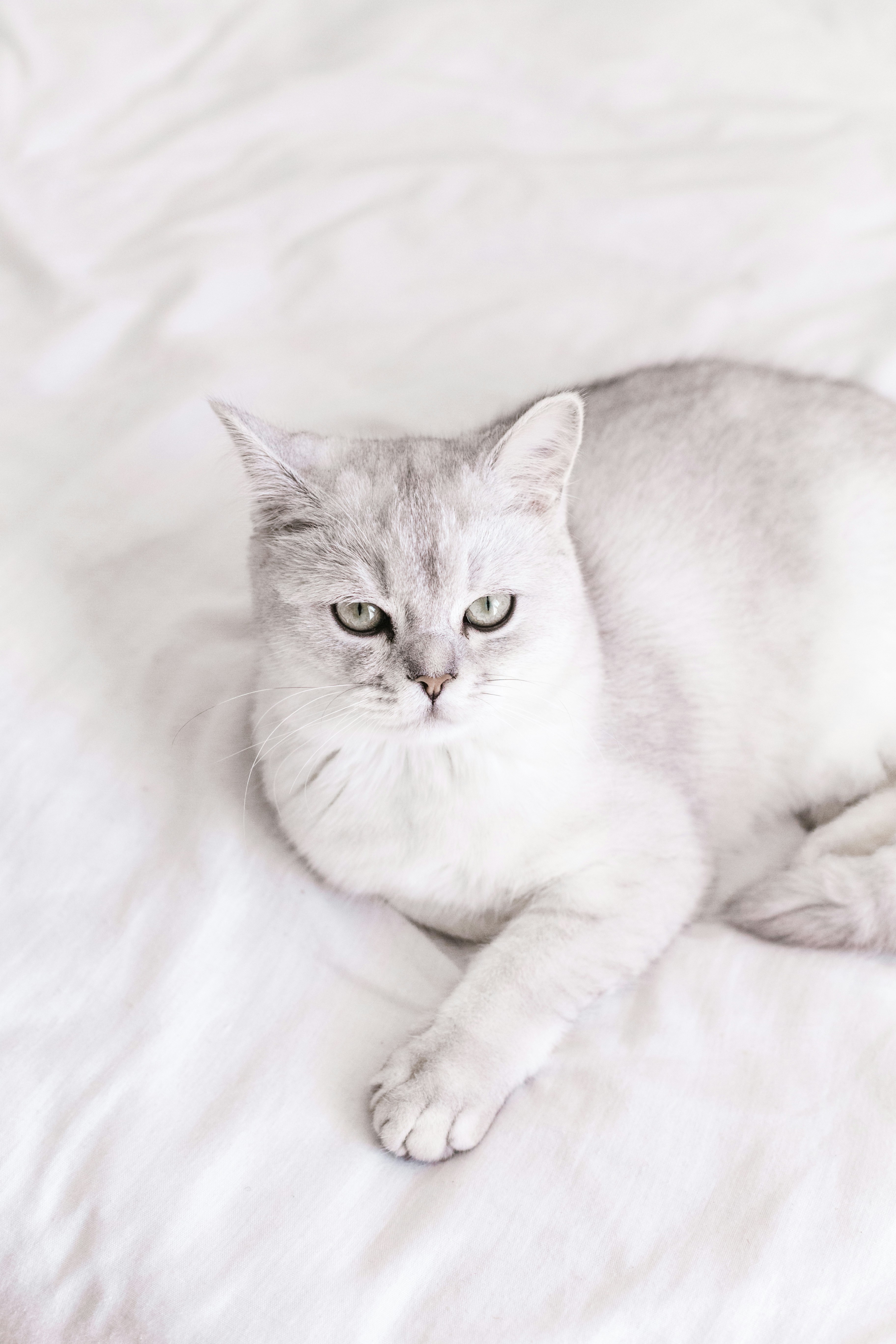 Photo by sincerelymedia