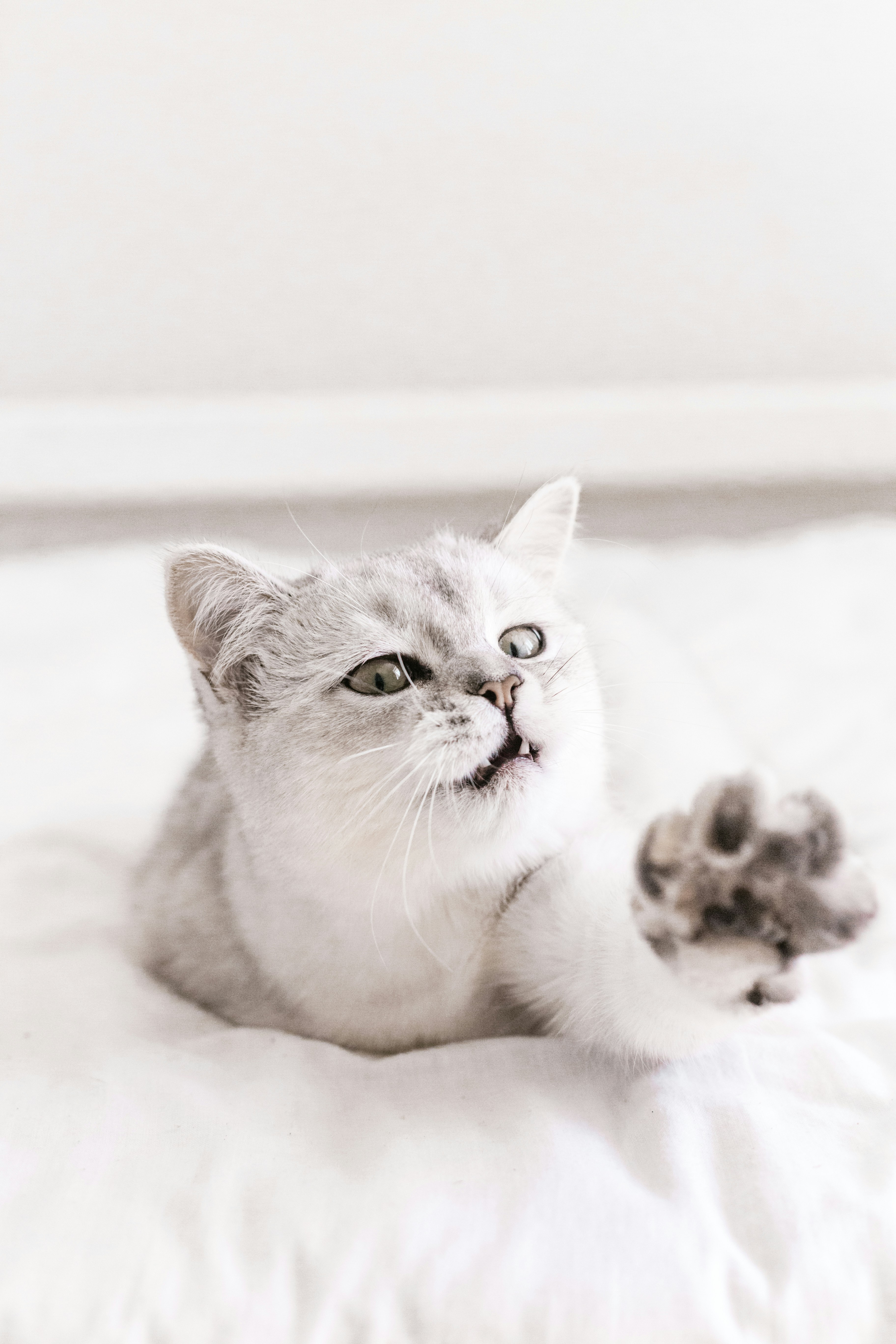 Photo by sincerelymedia