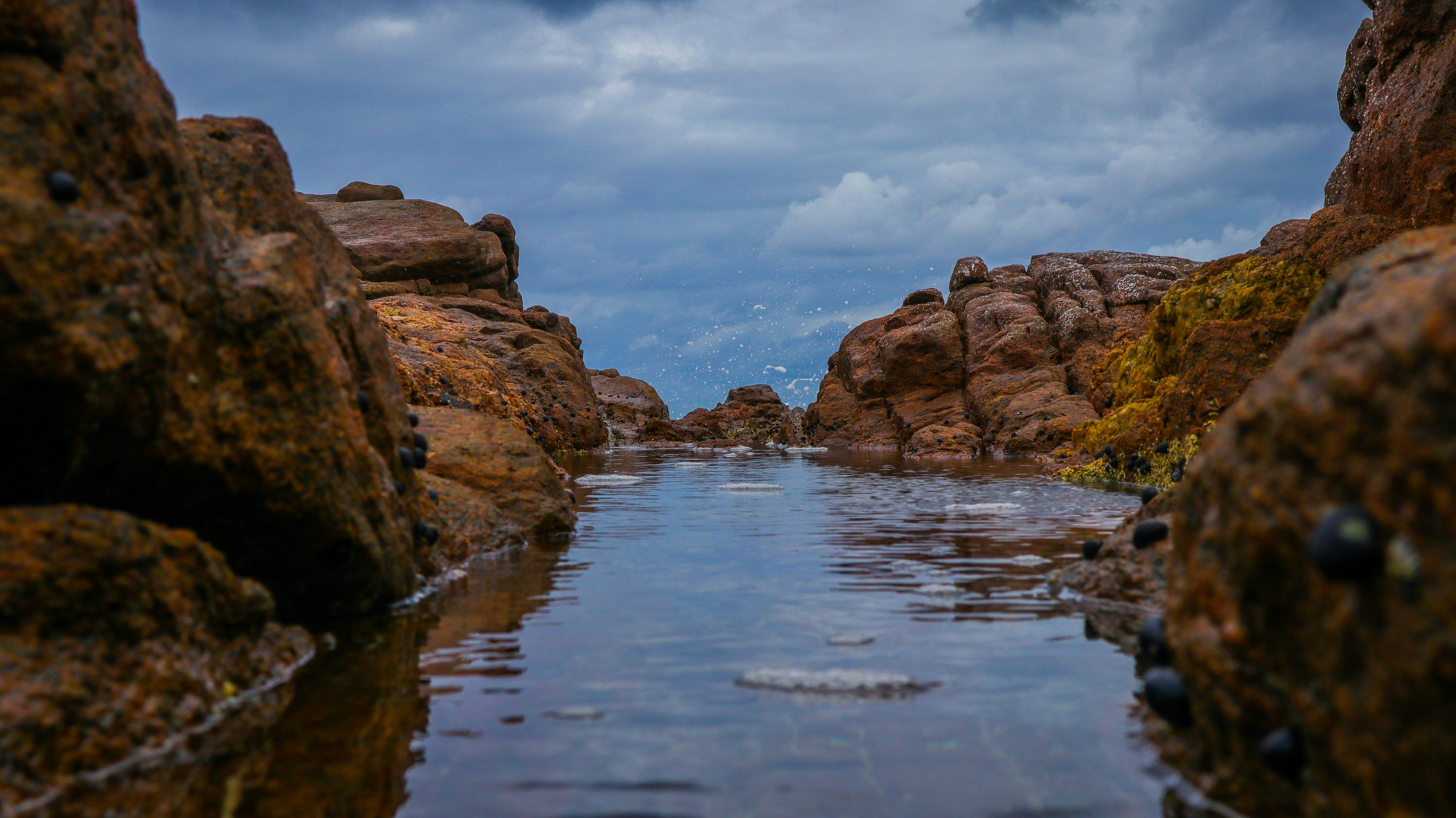 Photo by bellsrutter