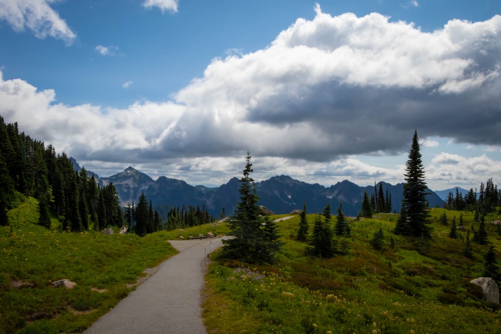 a trail winds through a grassy area with mountains in the background