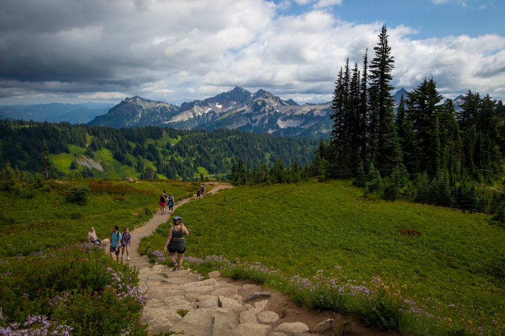 a group of people hiking up a trail in the mountains