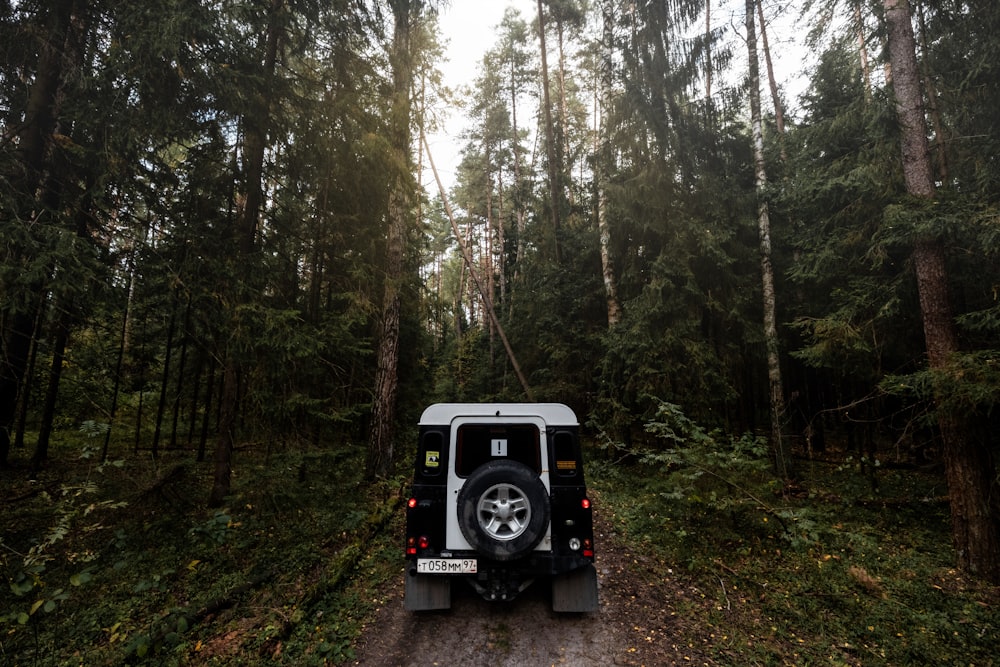 a jeep driving down a dirt road through a forest