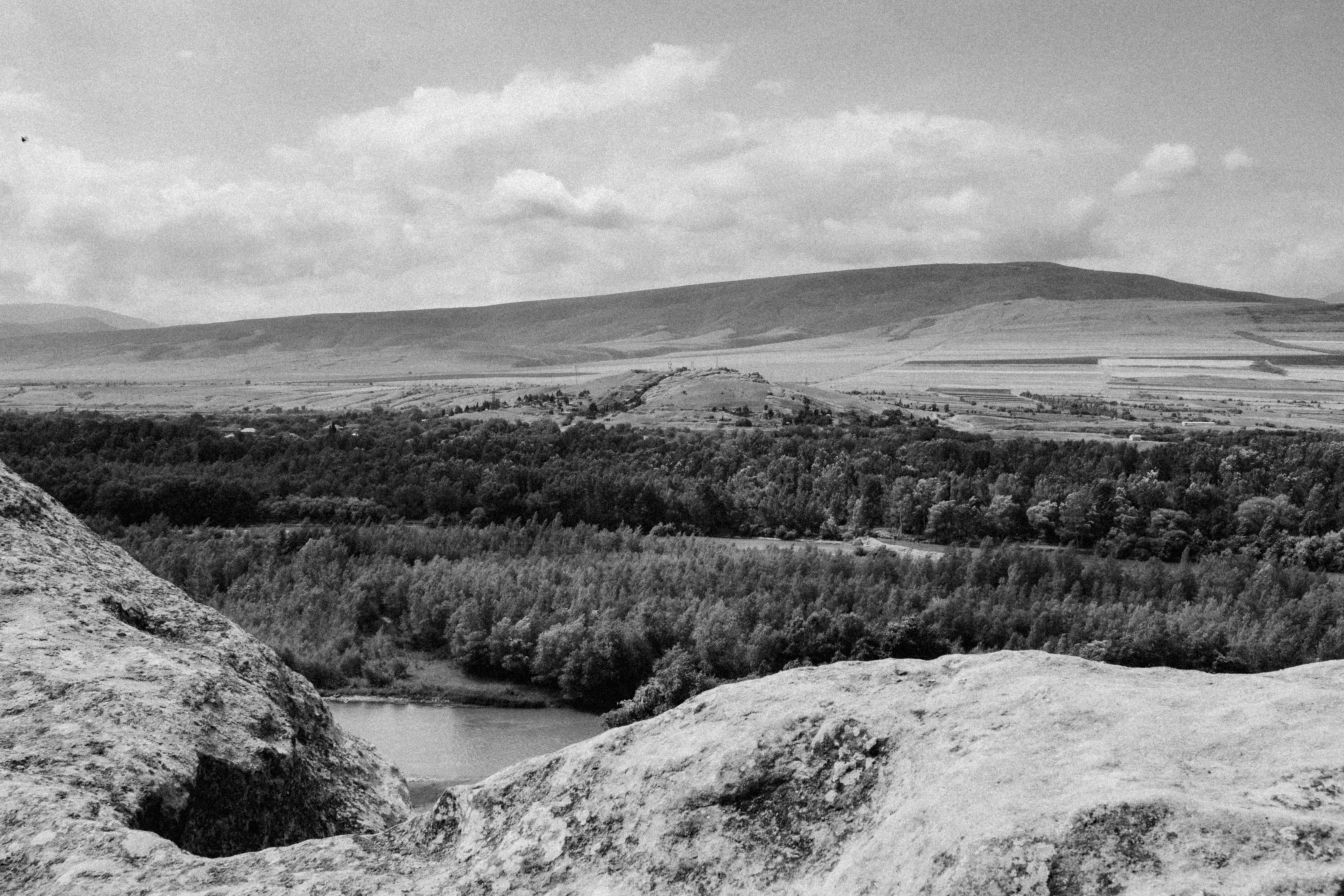 Photo by darya_tryfanava