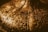 Intricate brass or bronze metal surface with detailed engravings and patterns. The design features various abstract shapes and symbols, possibly of historical or cultural significance. The surface appears aged with a warm, golden hue, and has a reflective quality.