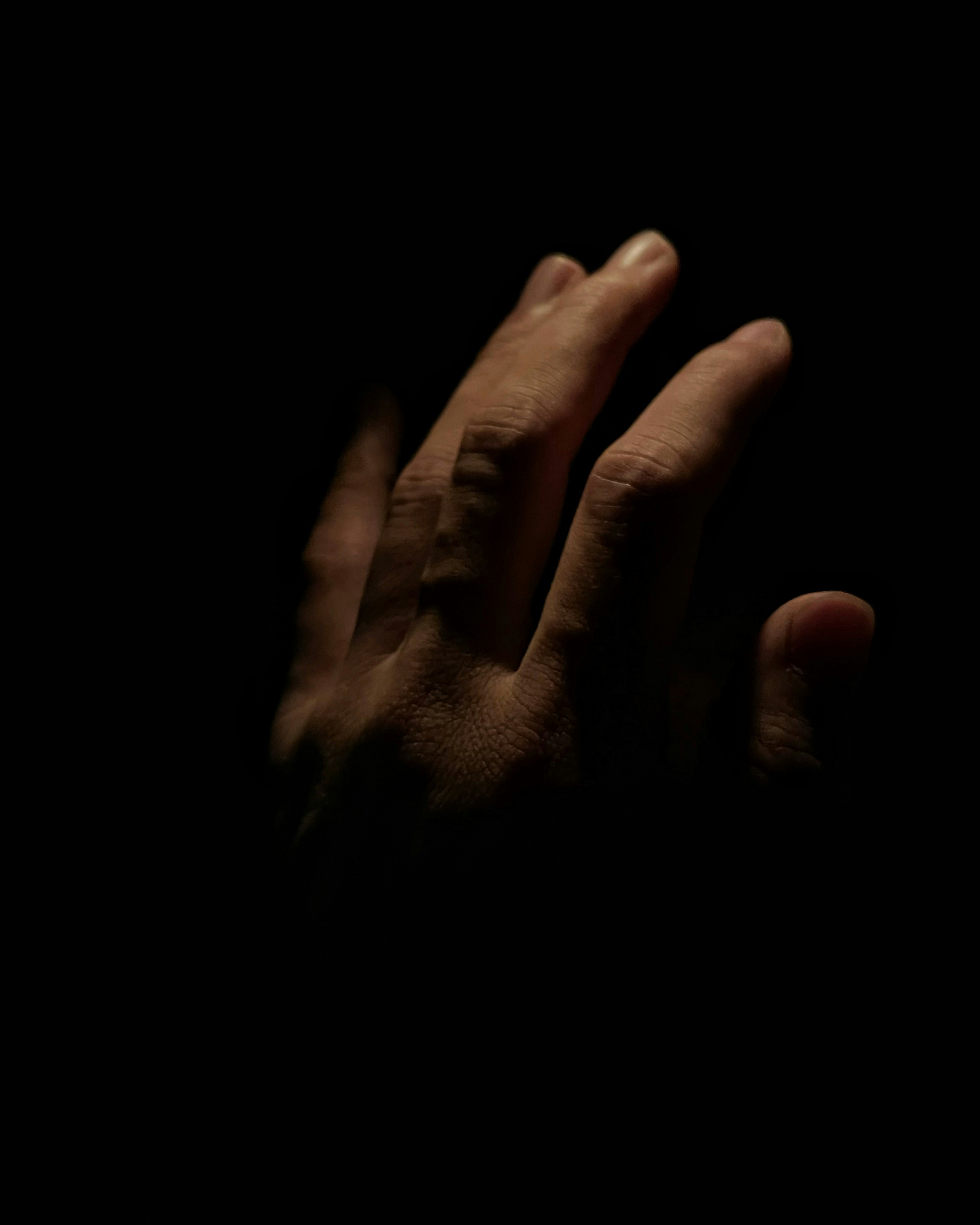 Photo by stevenindrajaya