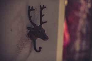 Leaf Wall Hook