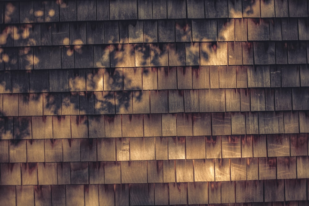 the shadow of a tree on the roof of a house