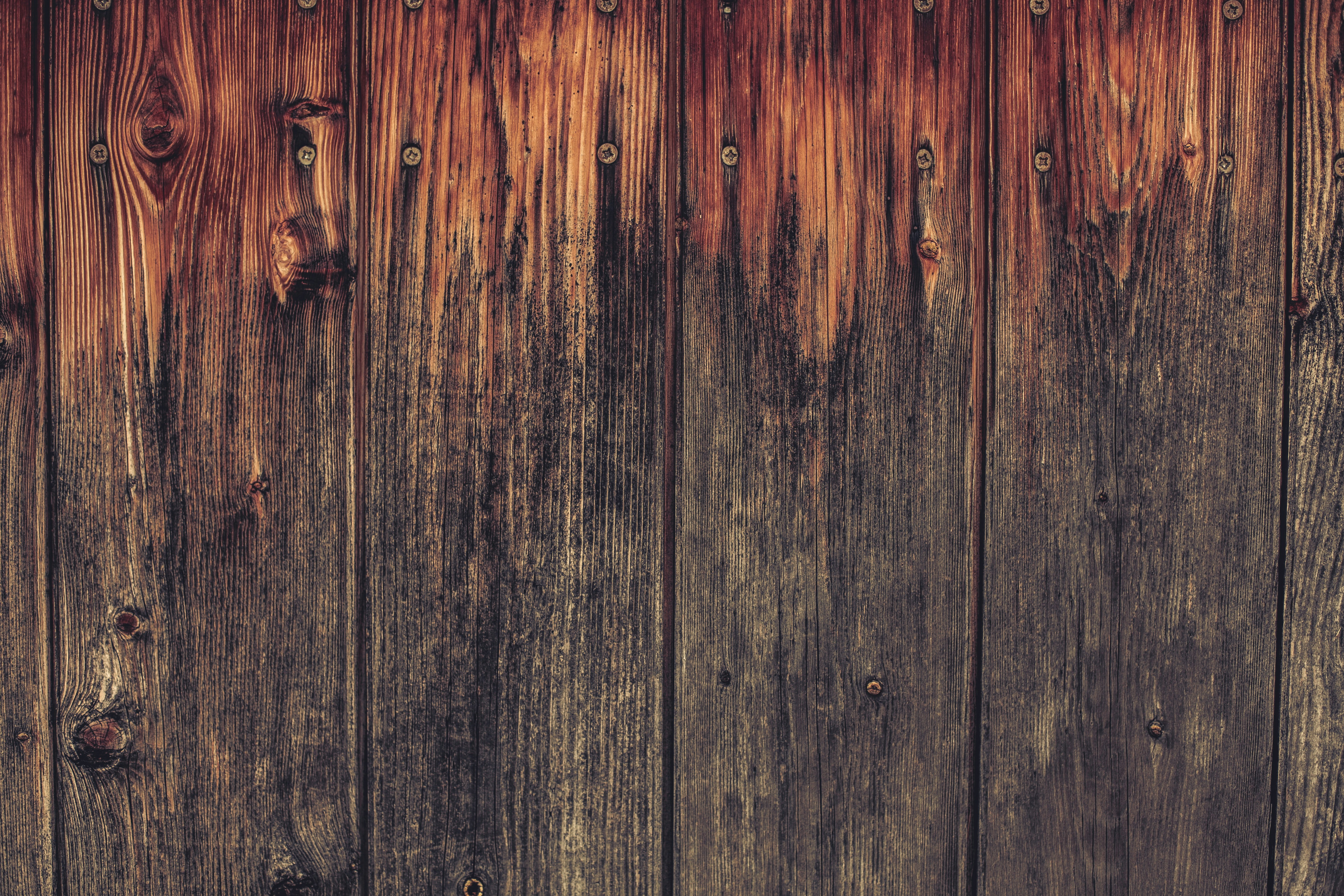 Photo by quadratmedia