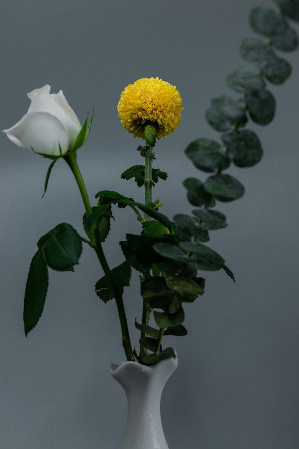 a white vase with a yellow flower in it