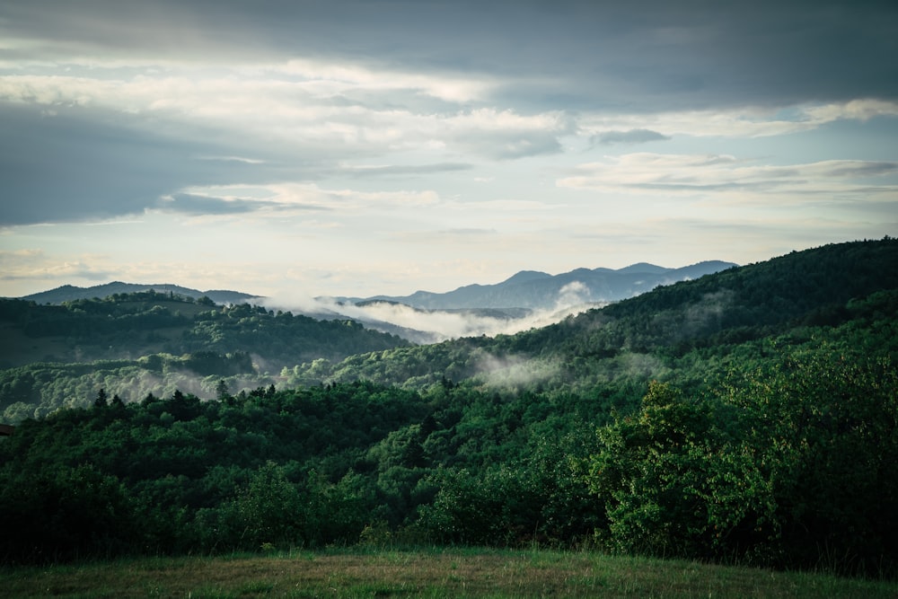 a lush green hillside covered in fog and clouds