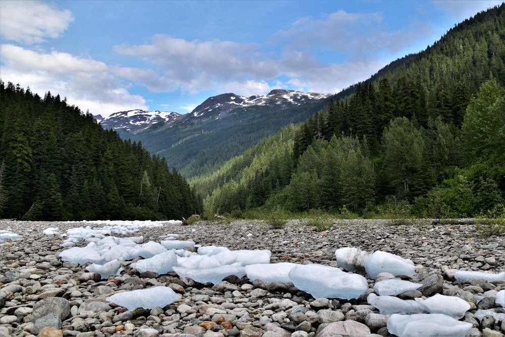 a rocky river surrounded by trees and mountains