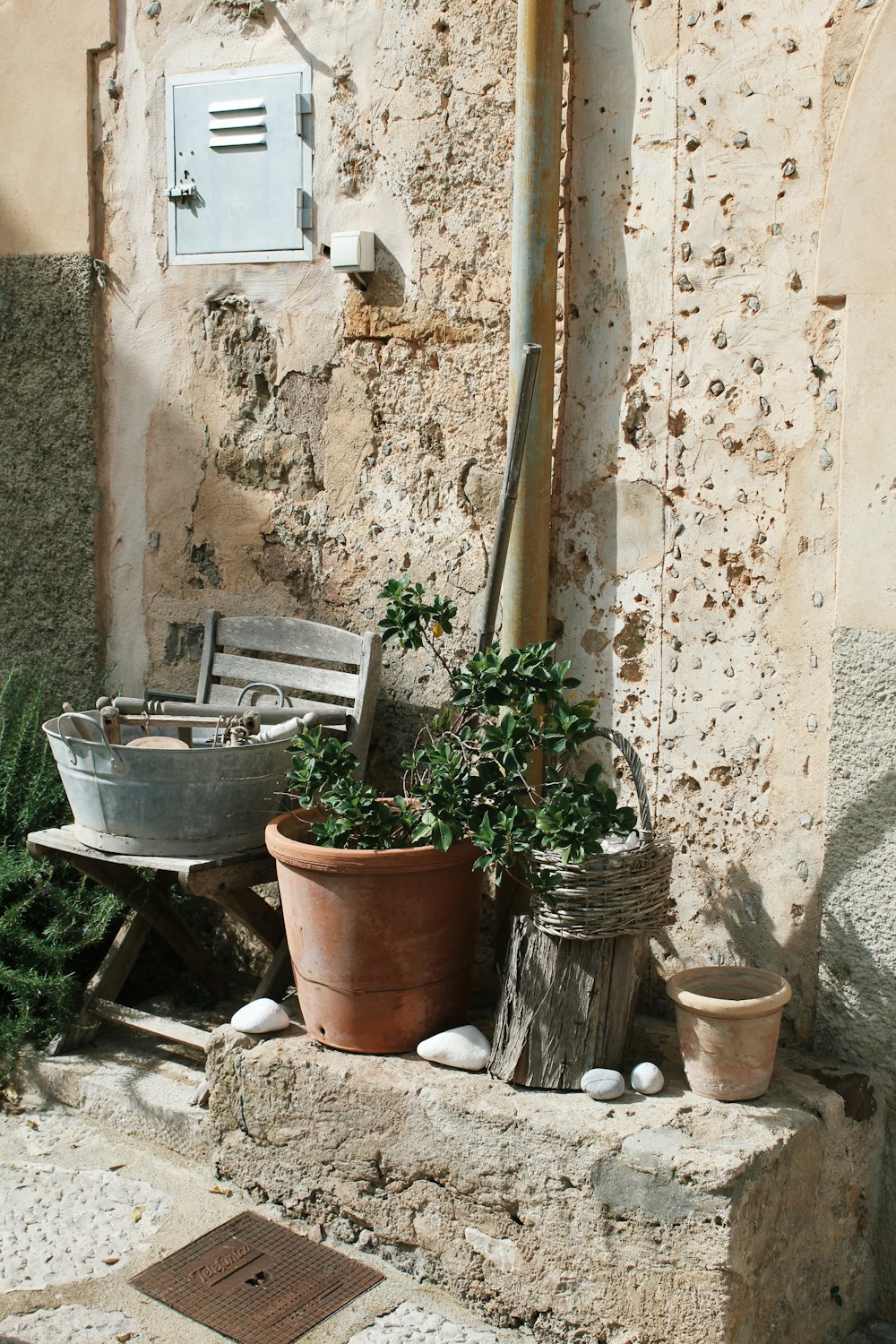 a potted plant sitting next to a wooden bench