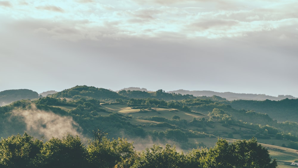 a view of a mountain range with trees in the foreground