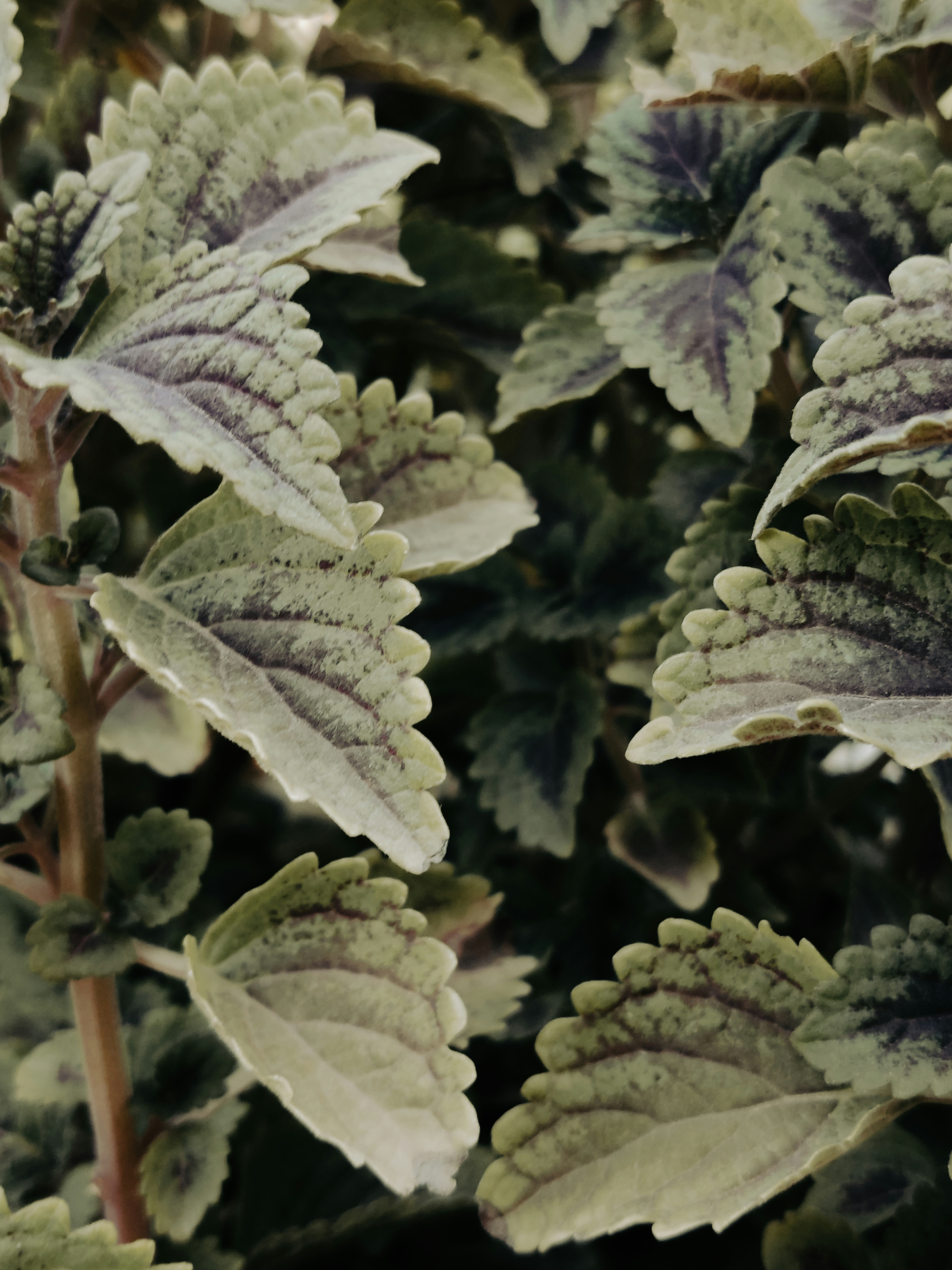 Photo by photographer_esmihel