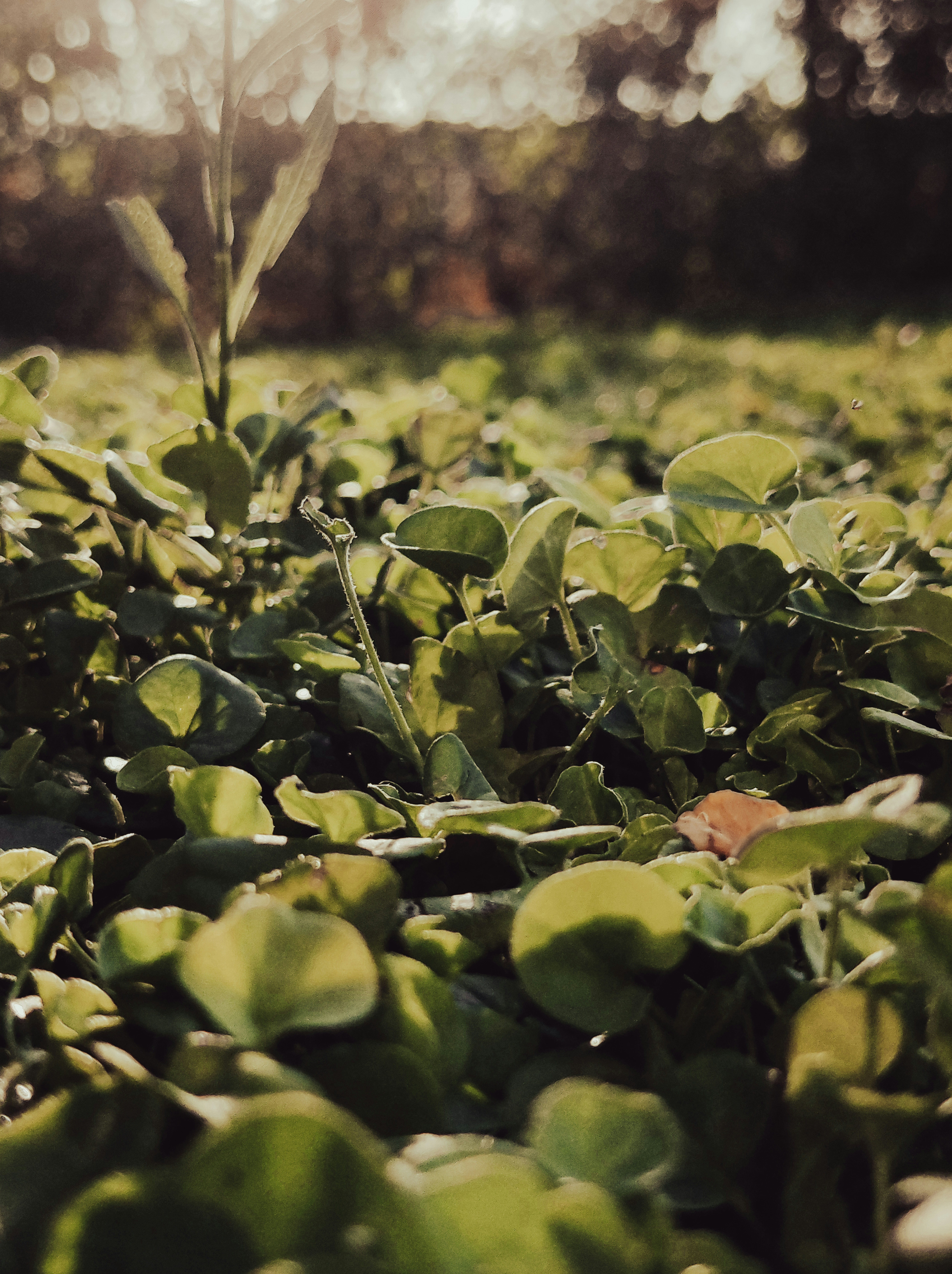 Photo by photographer_esmihel