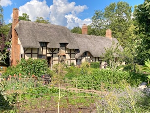 a house with a thatched roof surrounded by trees