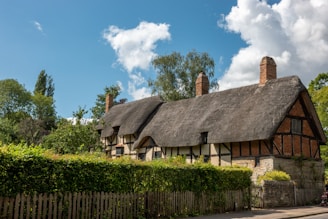 a house with a thatched roof next to a hedge