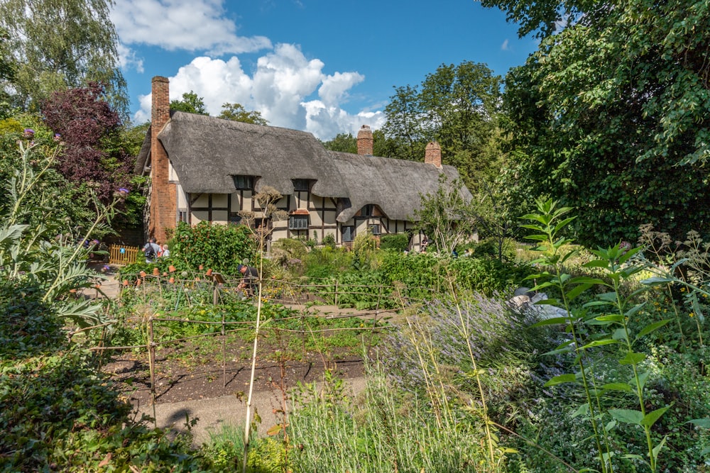 a house with a thatched roof surrounded by trees