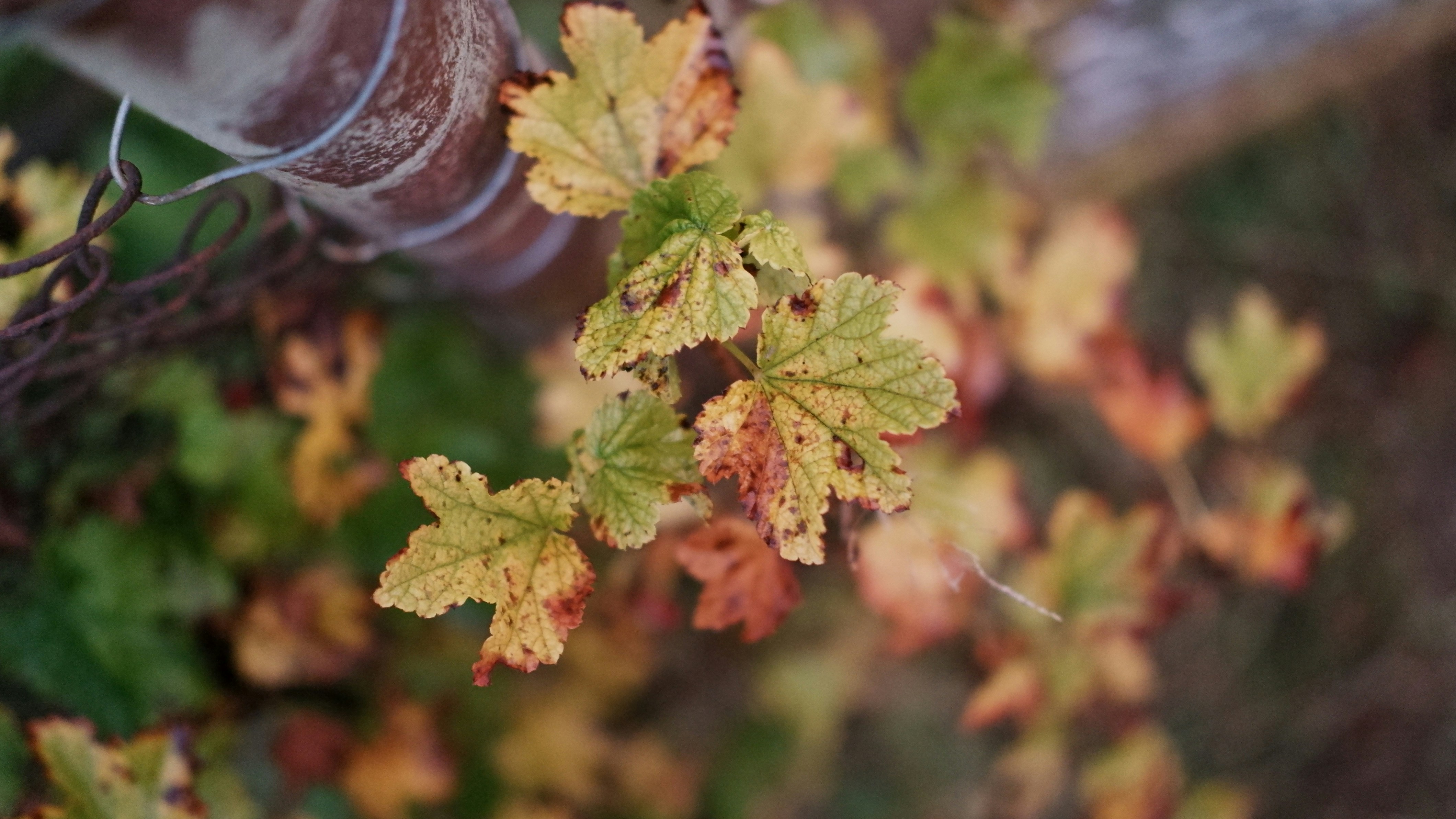 Photo by mary_borysova