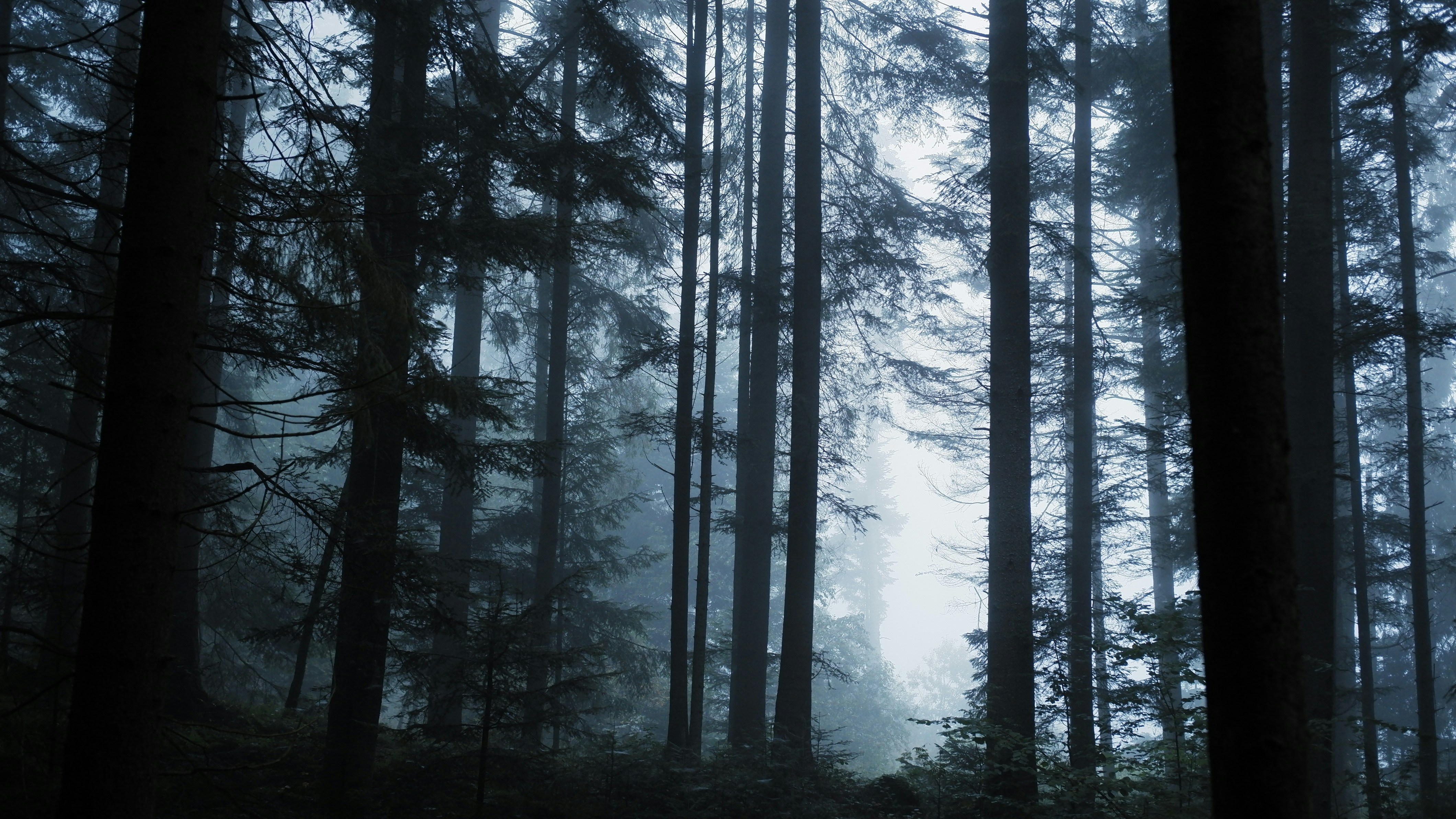 Photo by mary_borysova