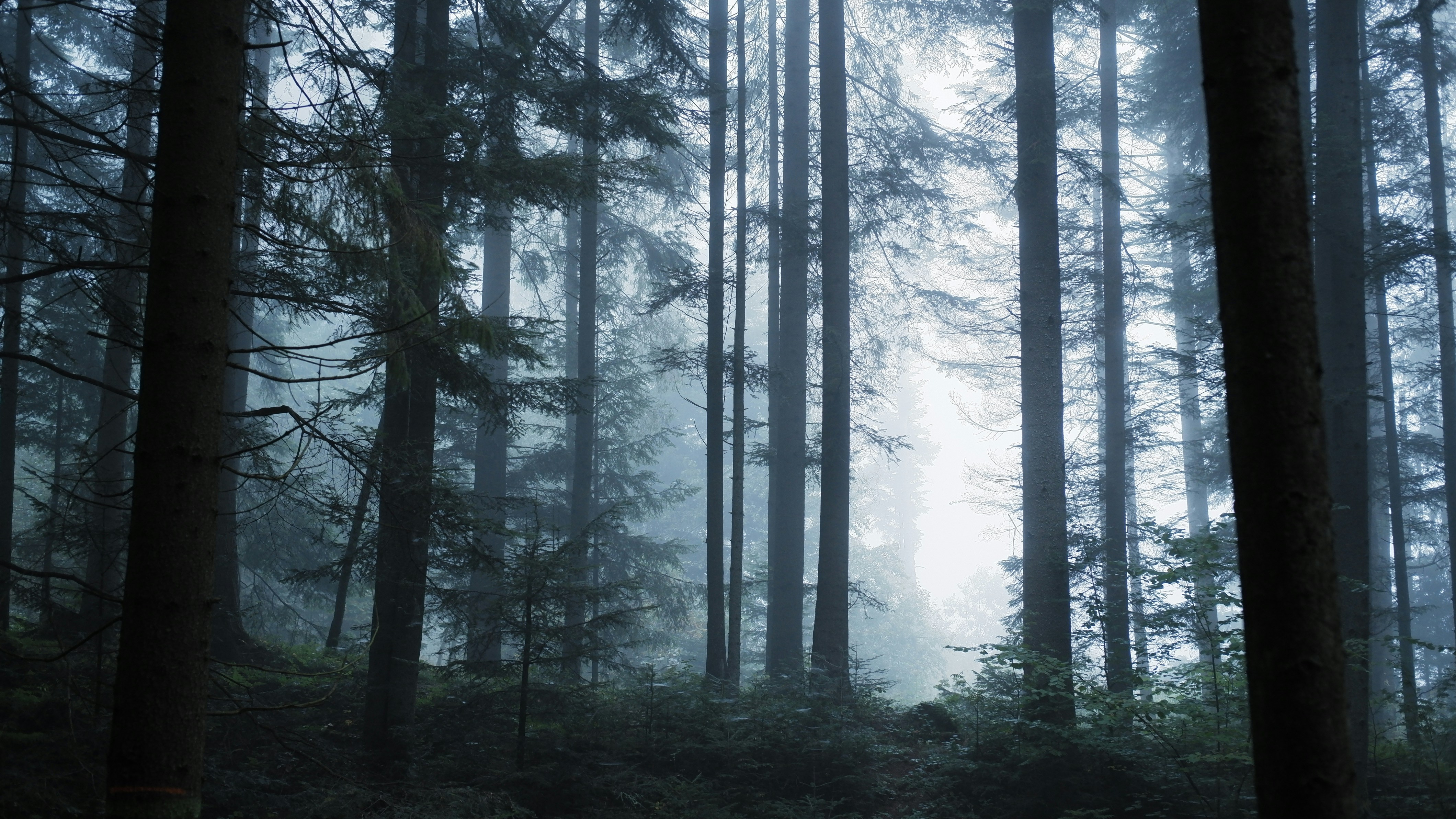 Photo by mary_borysova