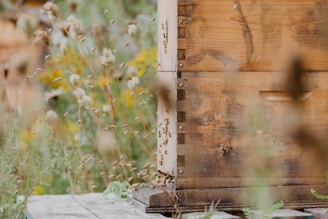 a beehive with a beehive in the background