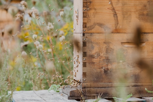 a beehive with a beehive in the background