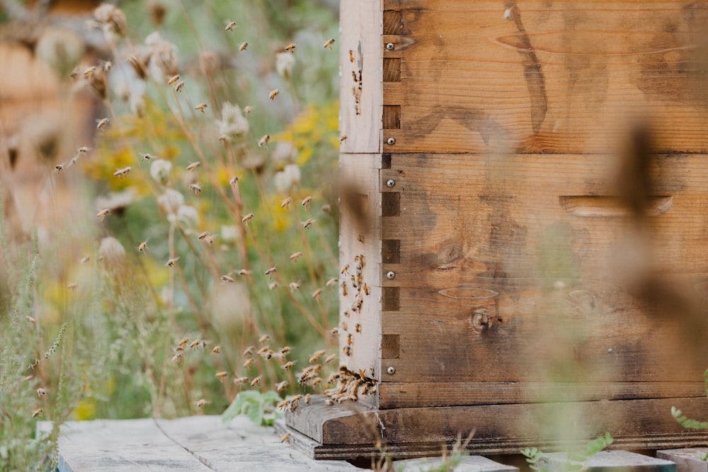 a beehive with a beehive in the background