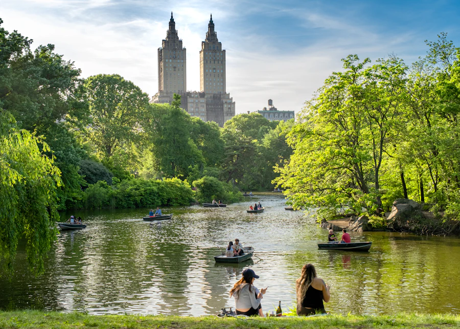 Rowboats on the Lake in Central Park
