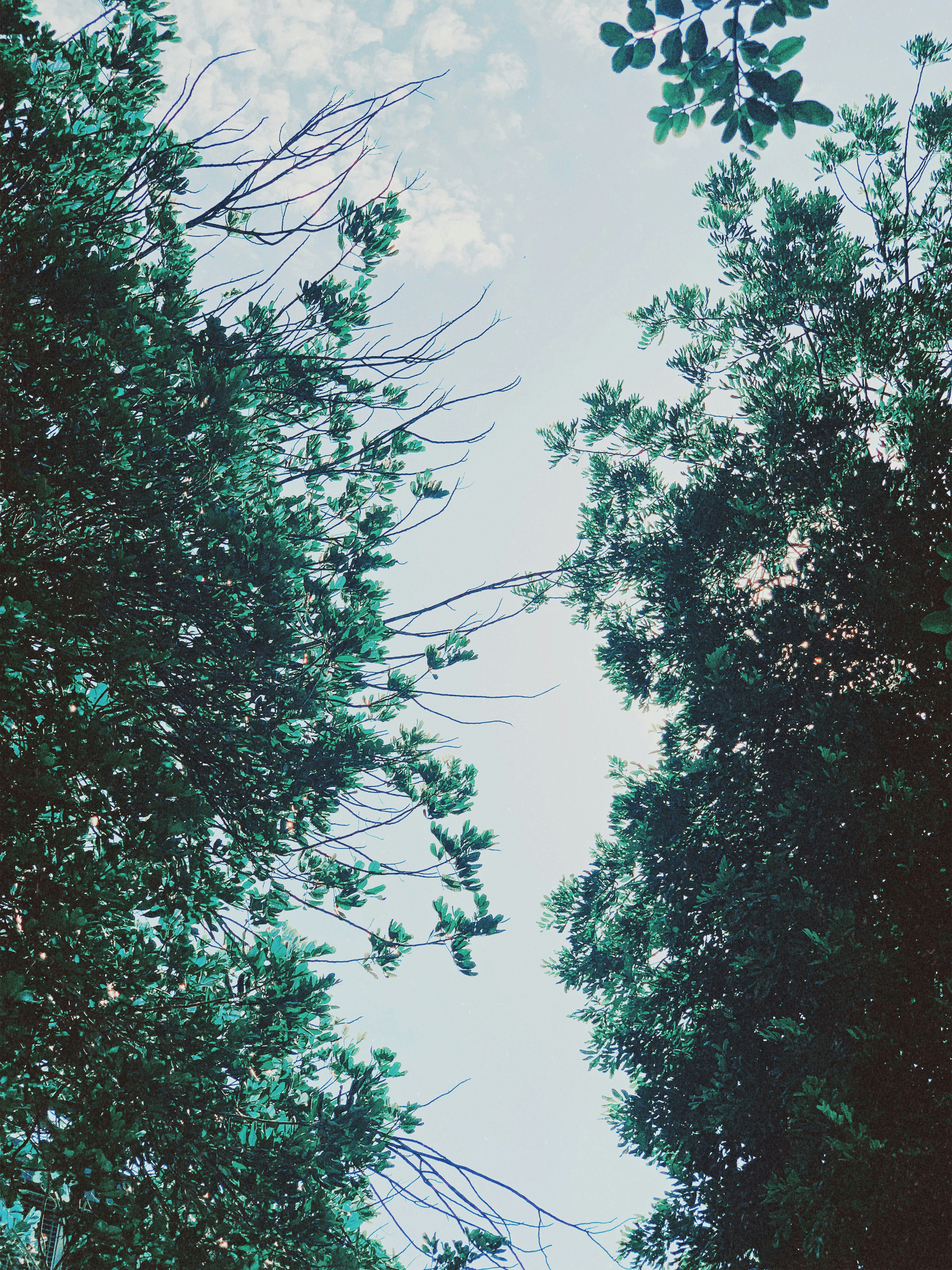 Photo by _nickwright_