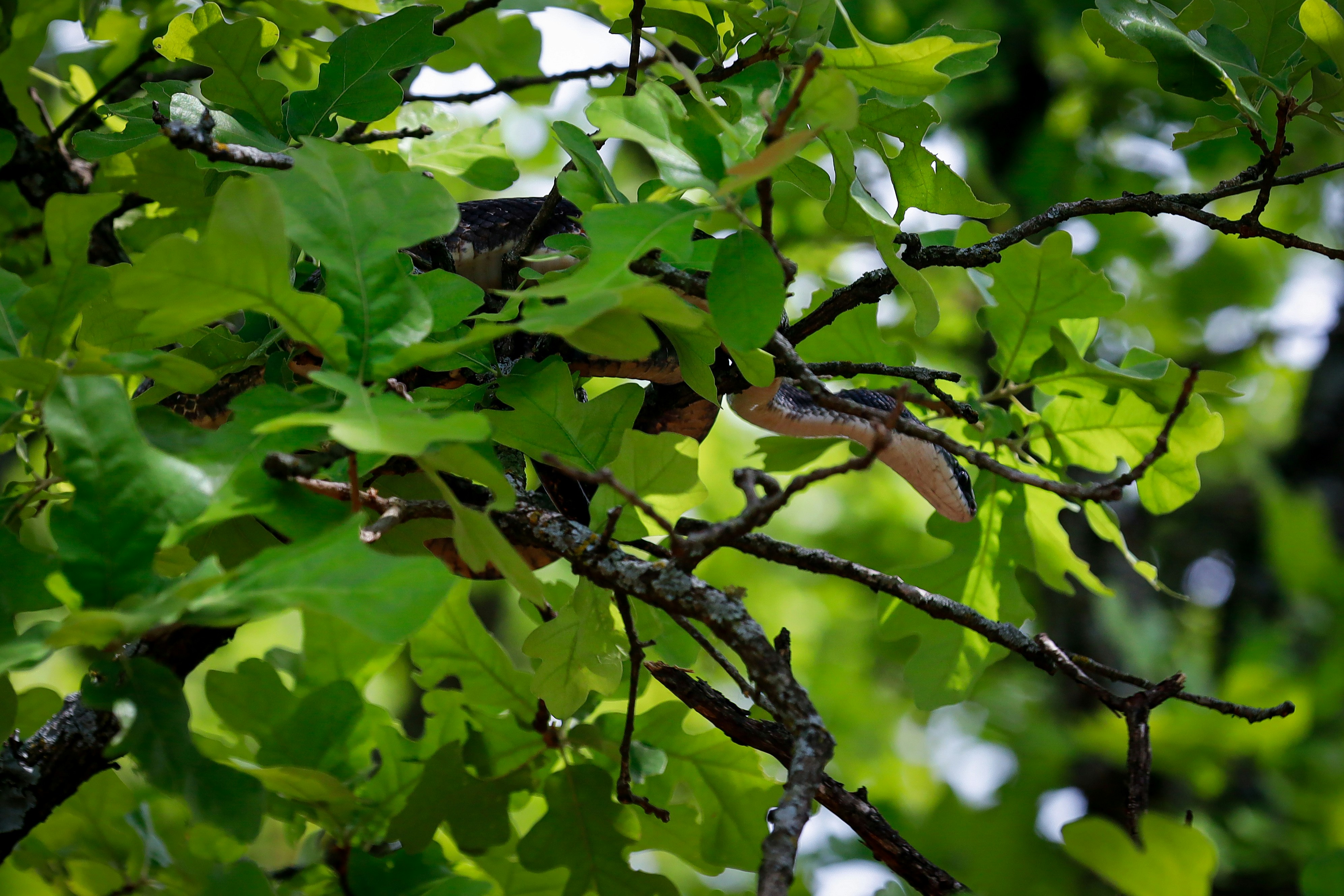 Photo by andre_schofield