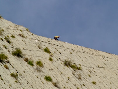 A consultant in safety gear assessing a natural site with native Australian vegetation.