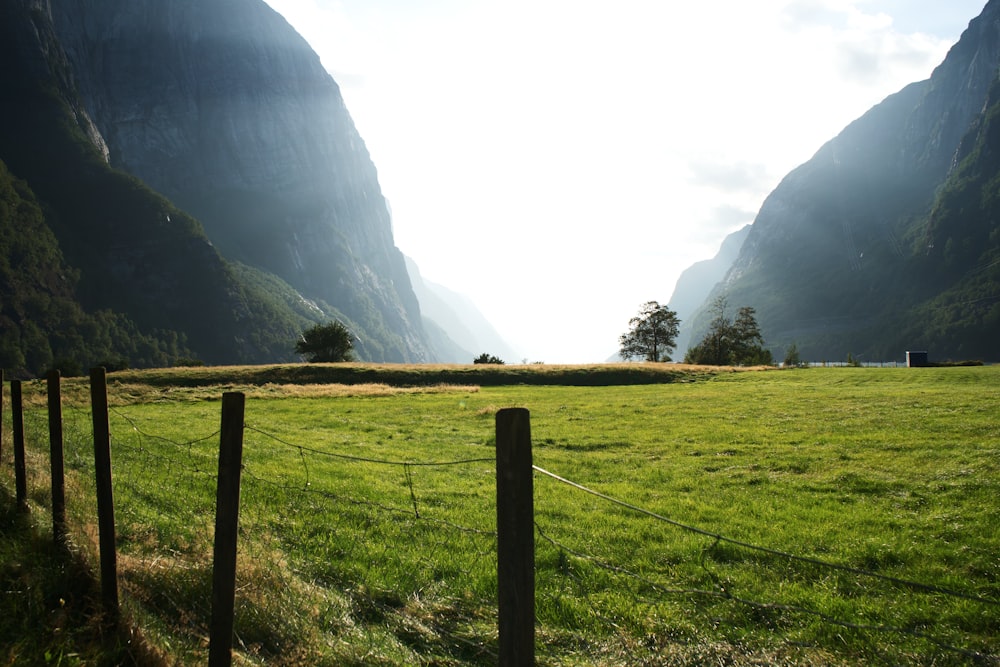 a grassy field with mountains in the background