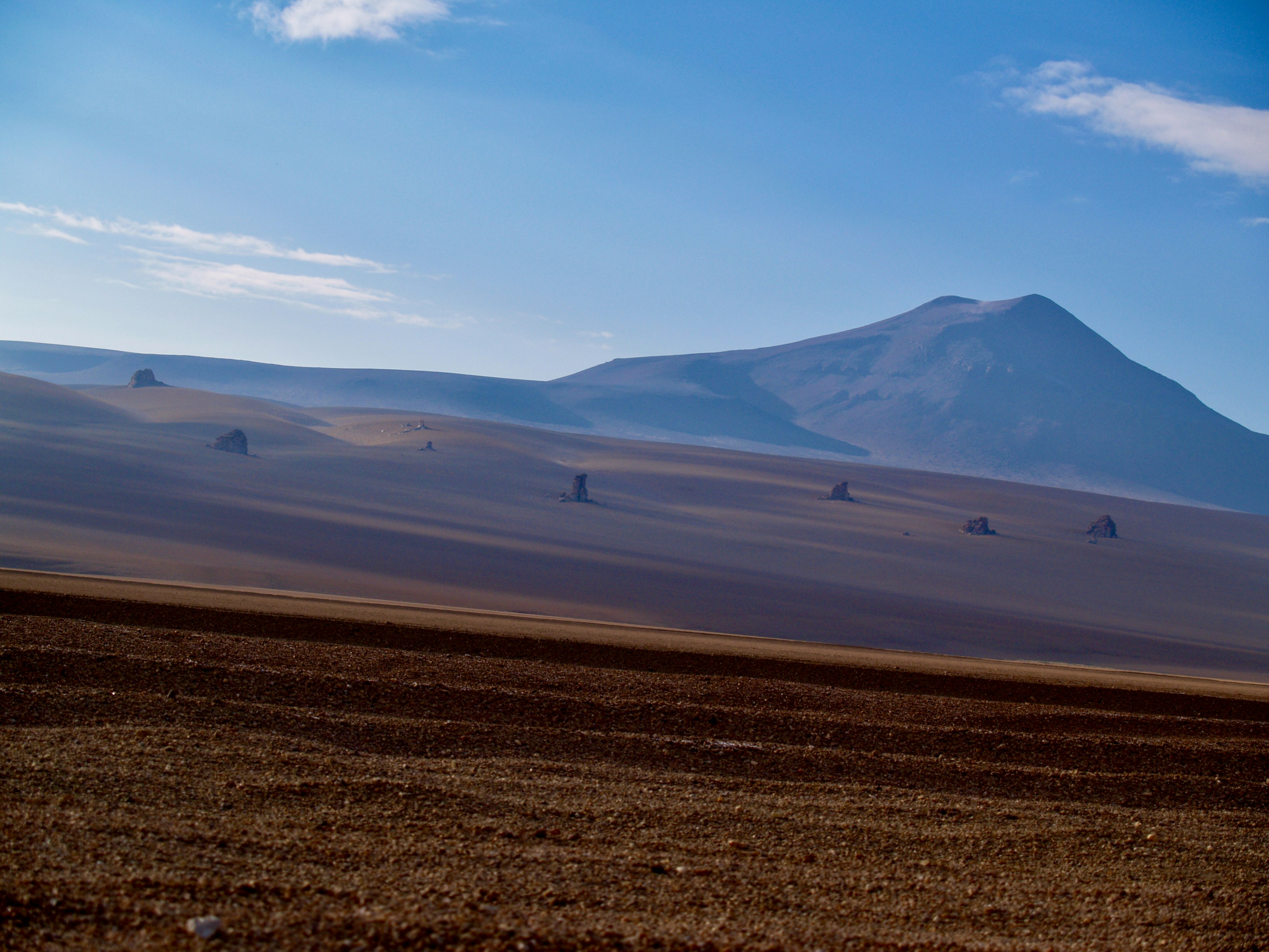 Photo by peterburdon