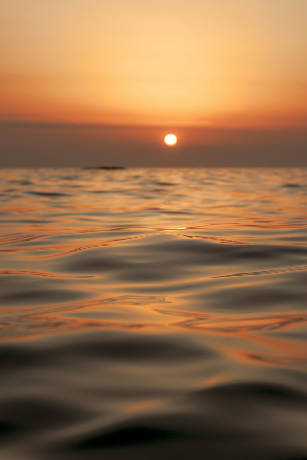 水域に沈む夕日