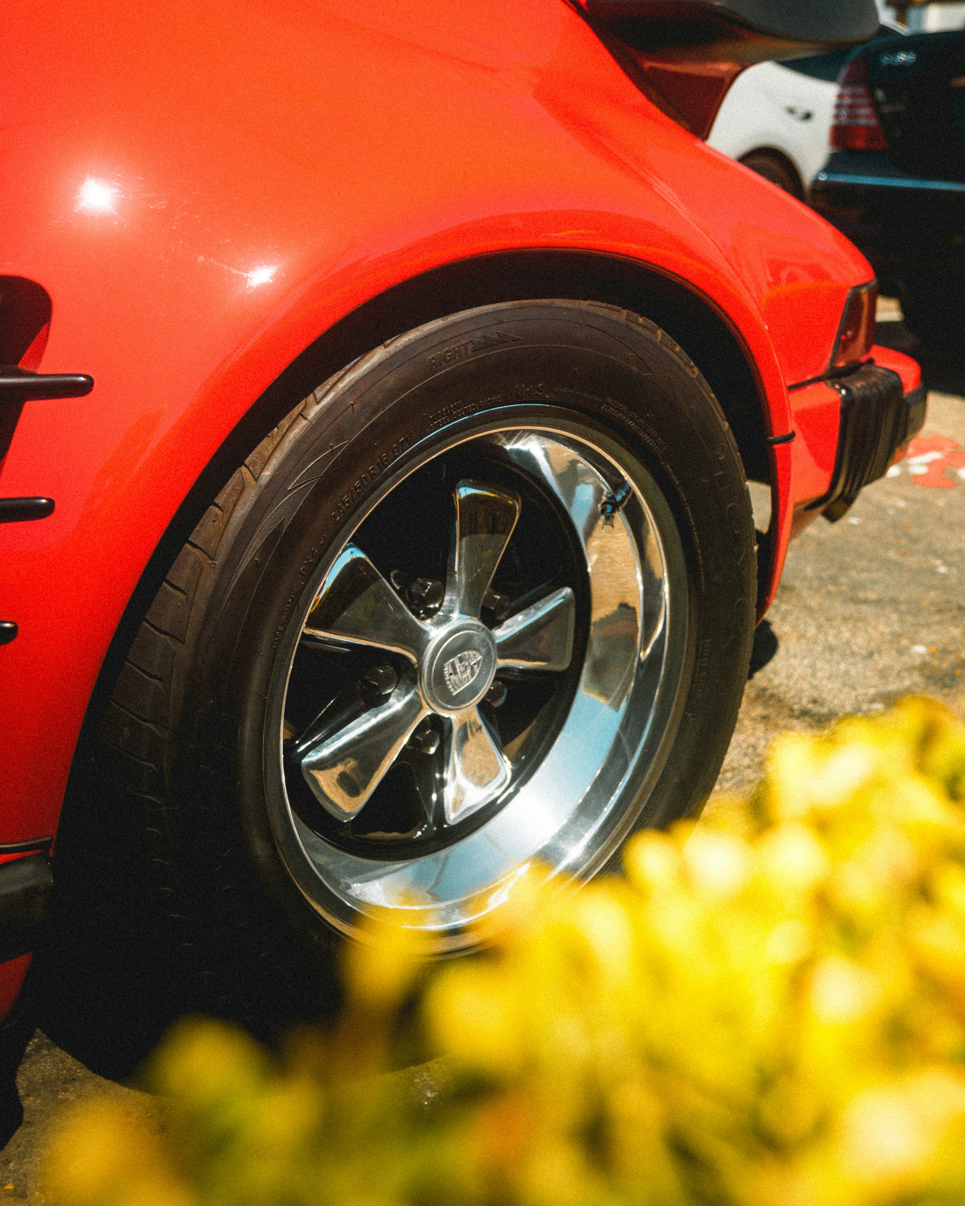 Photo by alenkajtezovic