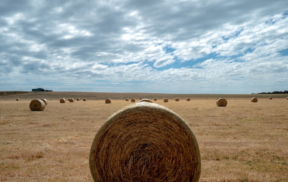 a field full of hay bales under a cloudy sky