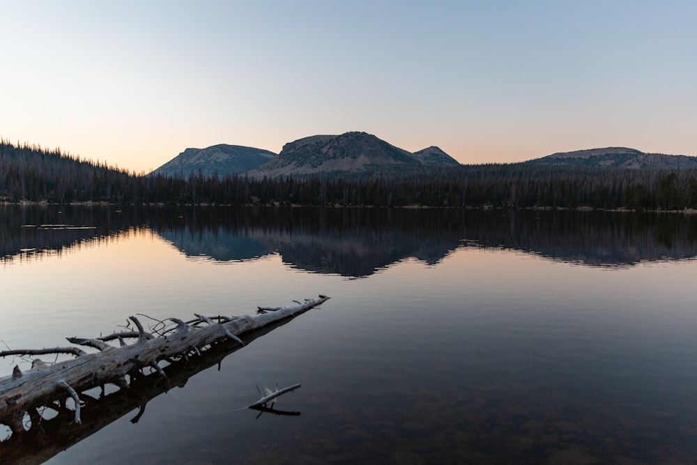 a large body of water surrounded by mountains