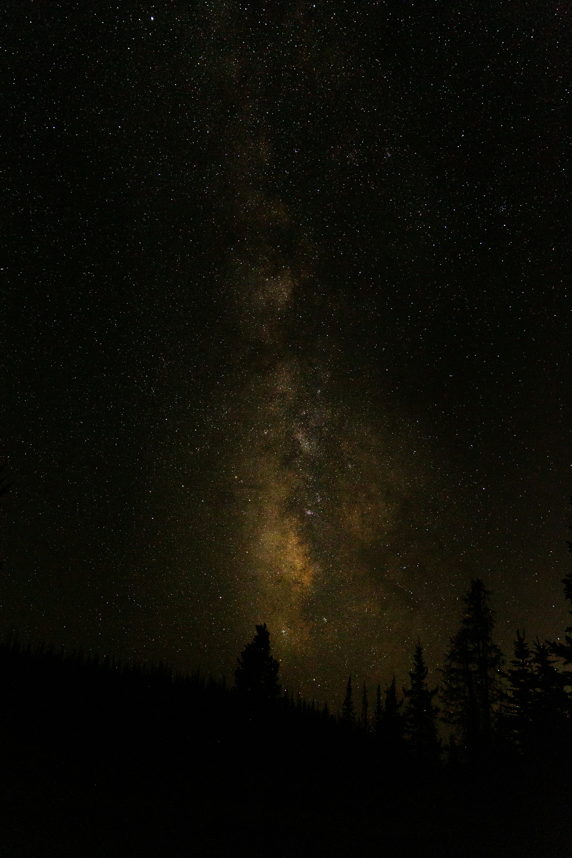 Photo by haliewestphoto