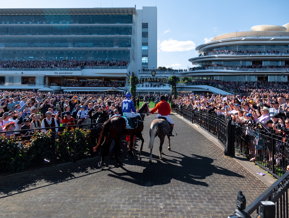 Crowd watching a horse race, evoking the Epsom Downs racecourse in Epsom and Ewell, Surrey