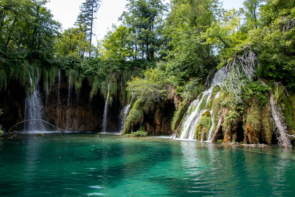 a body of water surrounded by trees and a waterfall