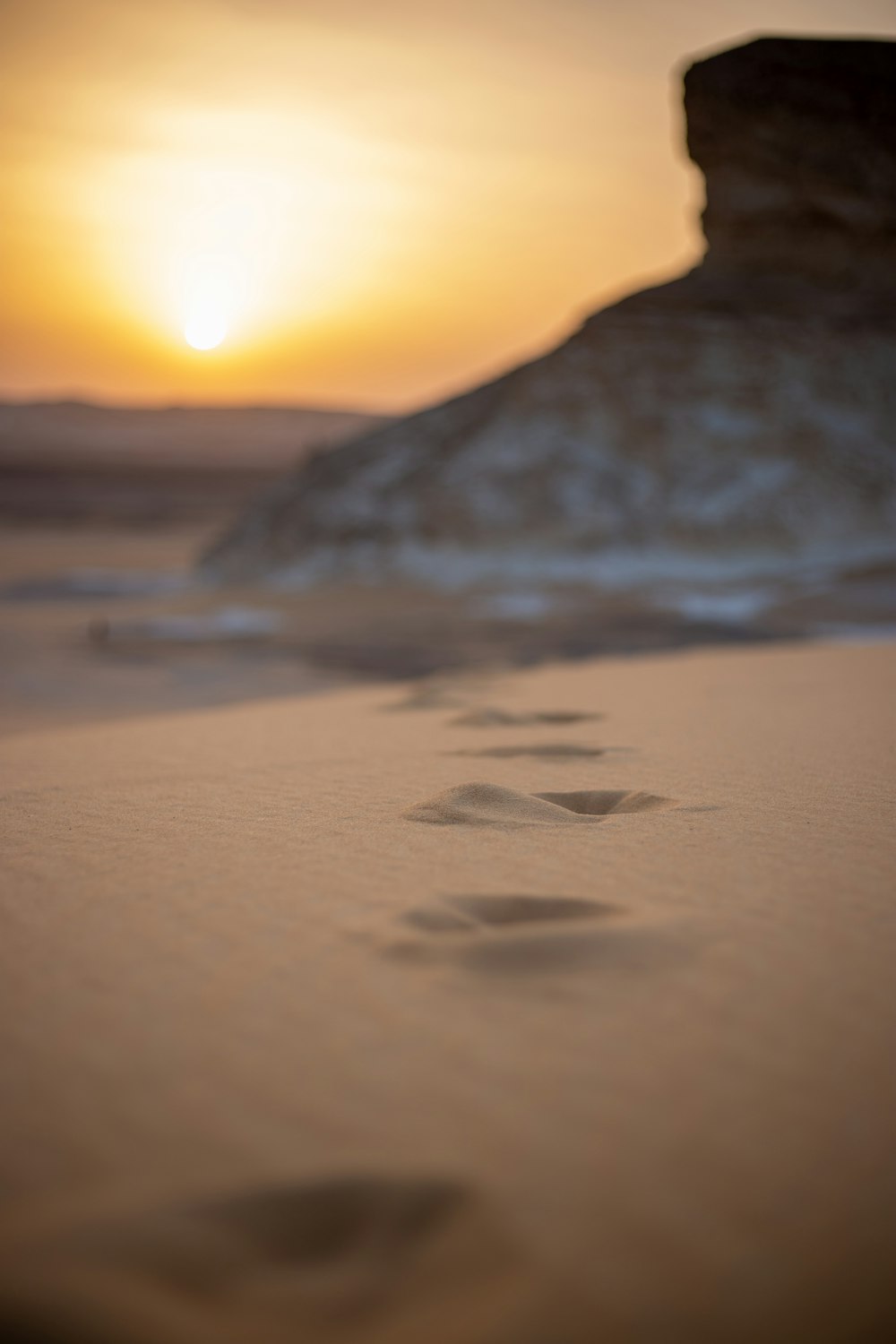 the footprints of two people are in the sand