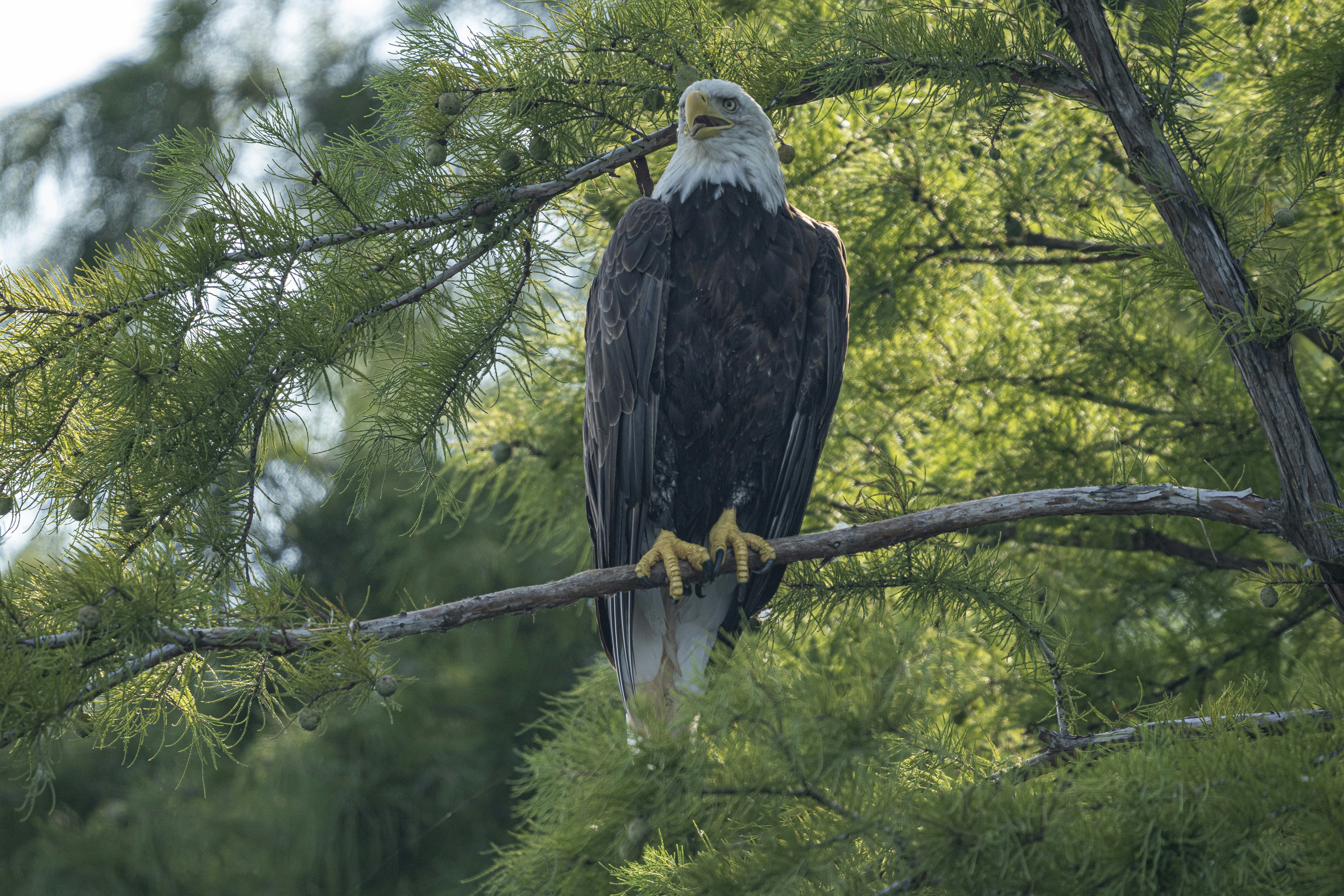 Photo by smalexander