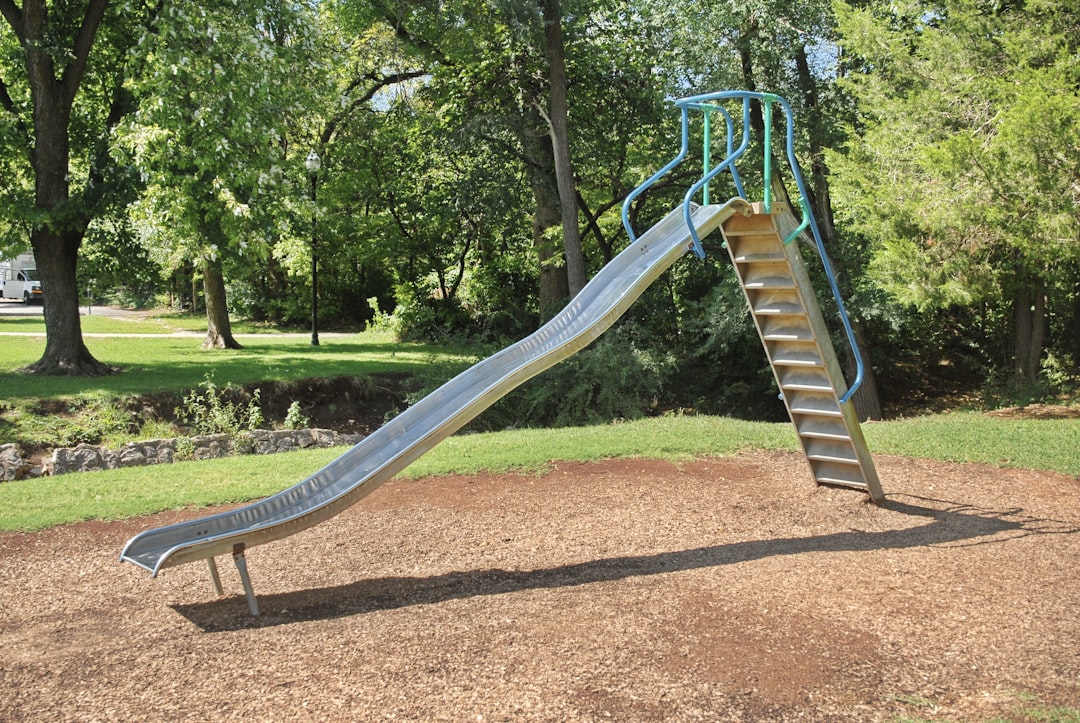a slide in a park with trees in the background,