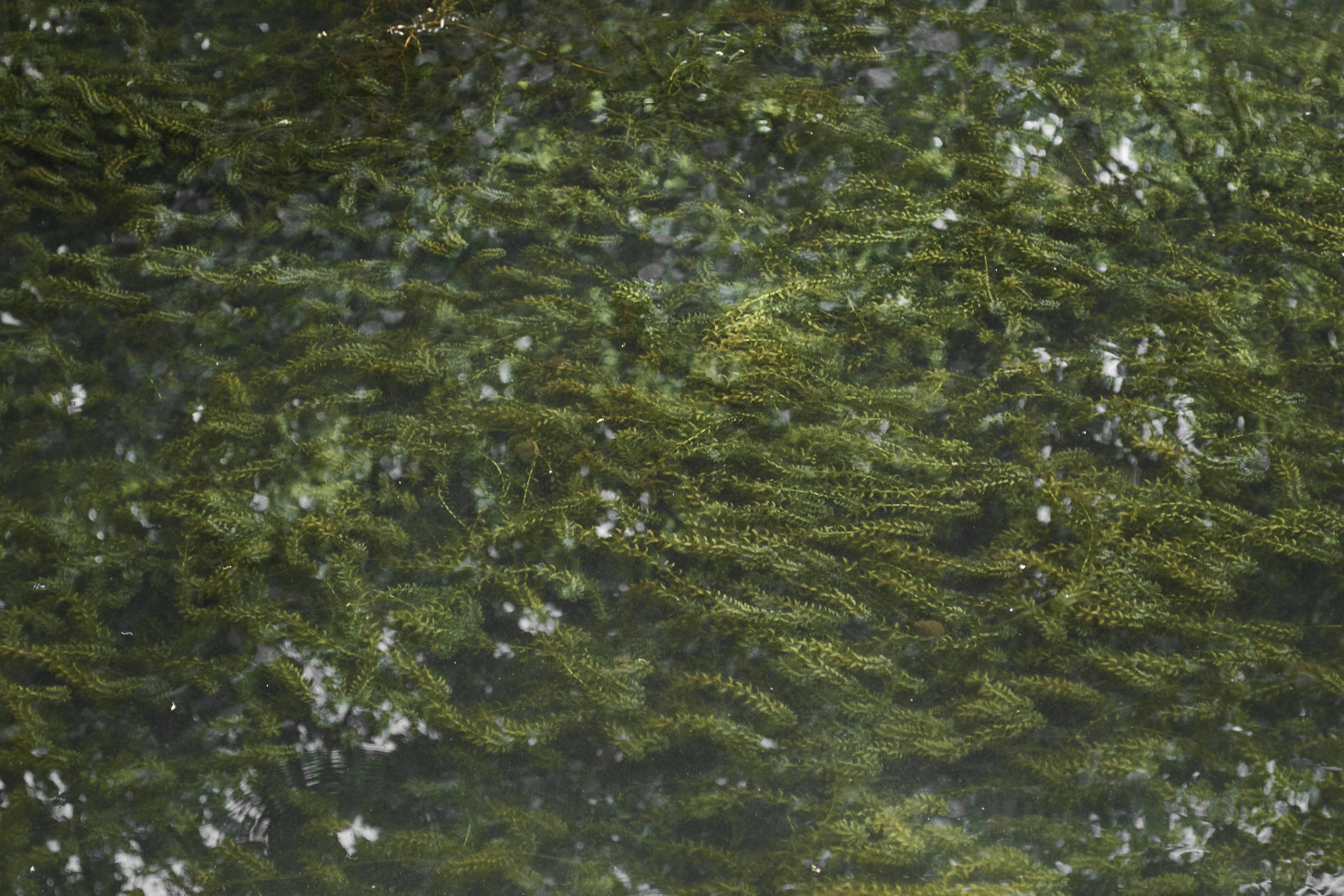 Photo by hannaxsulphur